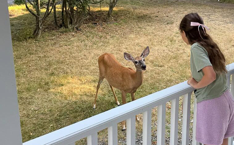 The View From Here: Your Photos of New Brunswick