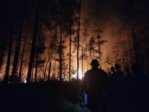 Baileyville fire