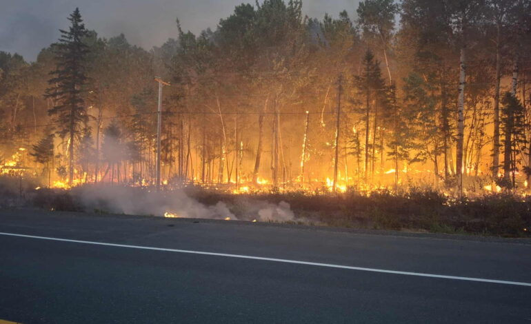More resources heading to N.B. amid increasing forest fires