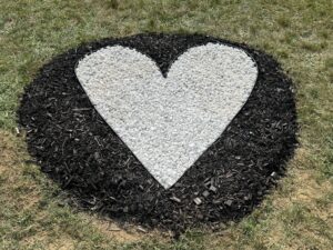 Operation white heart