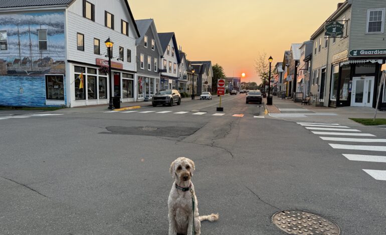 For the Love of Maud: The wonder of Water Street