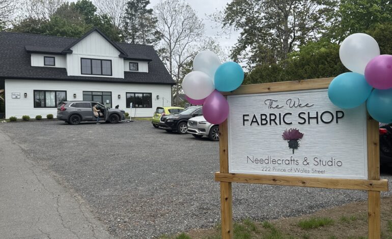 FEATURE: Wee Fabric Shop celebrates six years