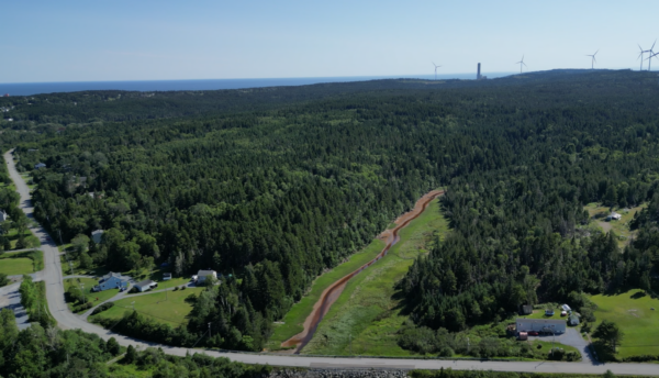 wetland-data-centre