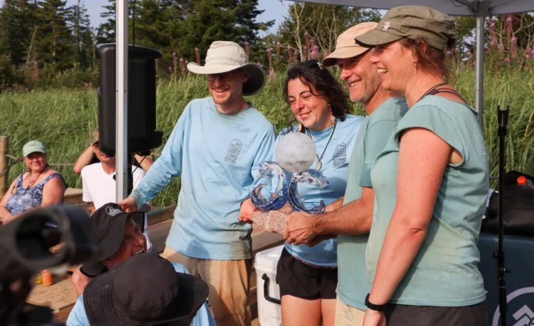 Bay of Fundy Sand Sculpture Festival ends in a tie