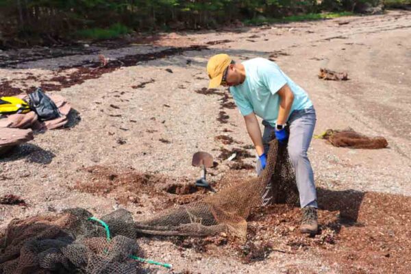netting-removed