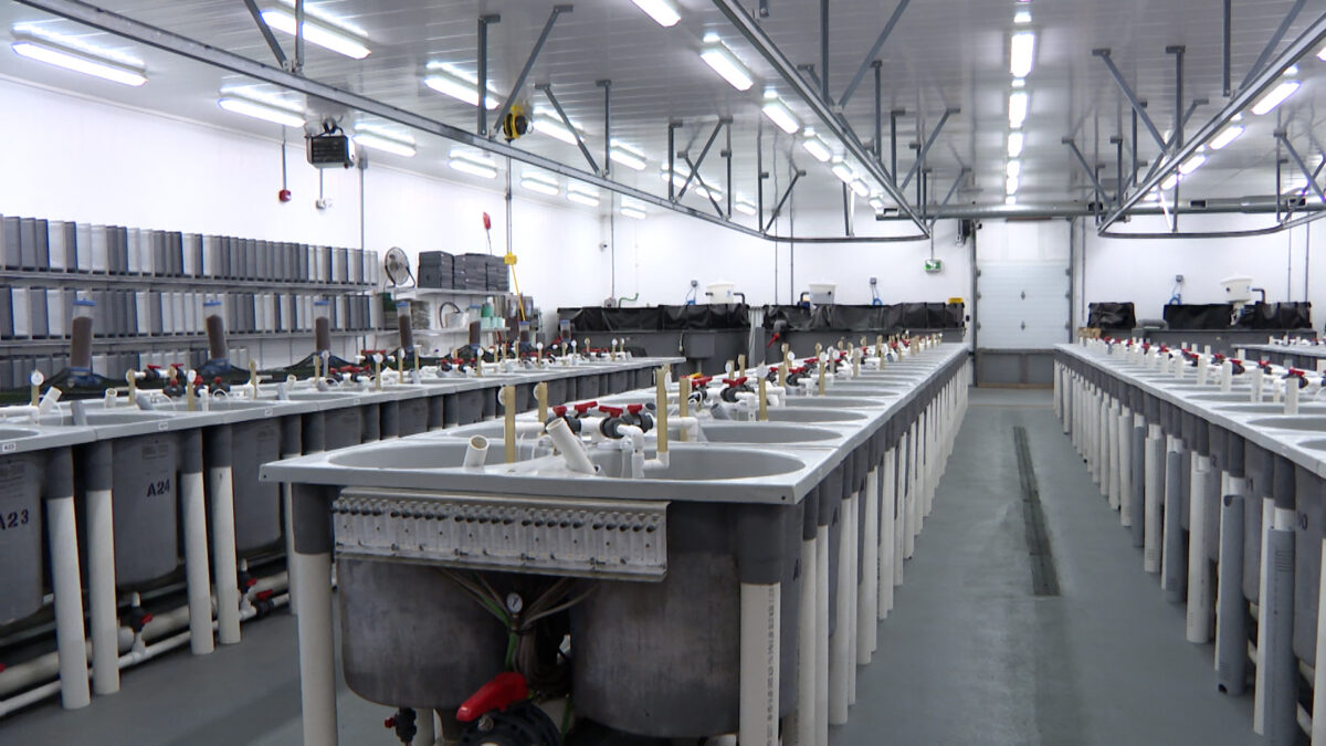 AQUACULTURE