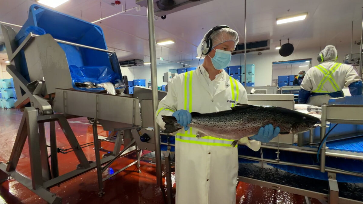 AQUACULTURE