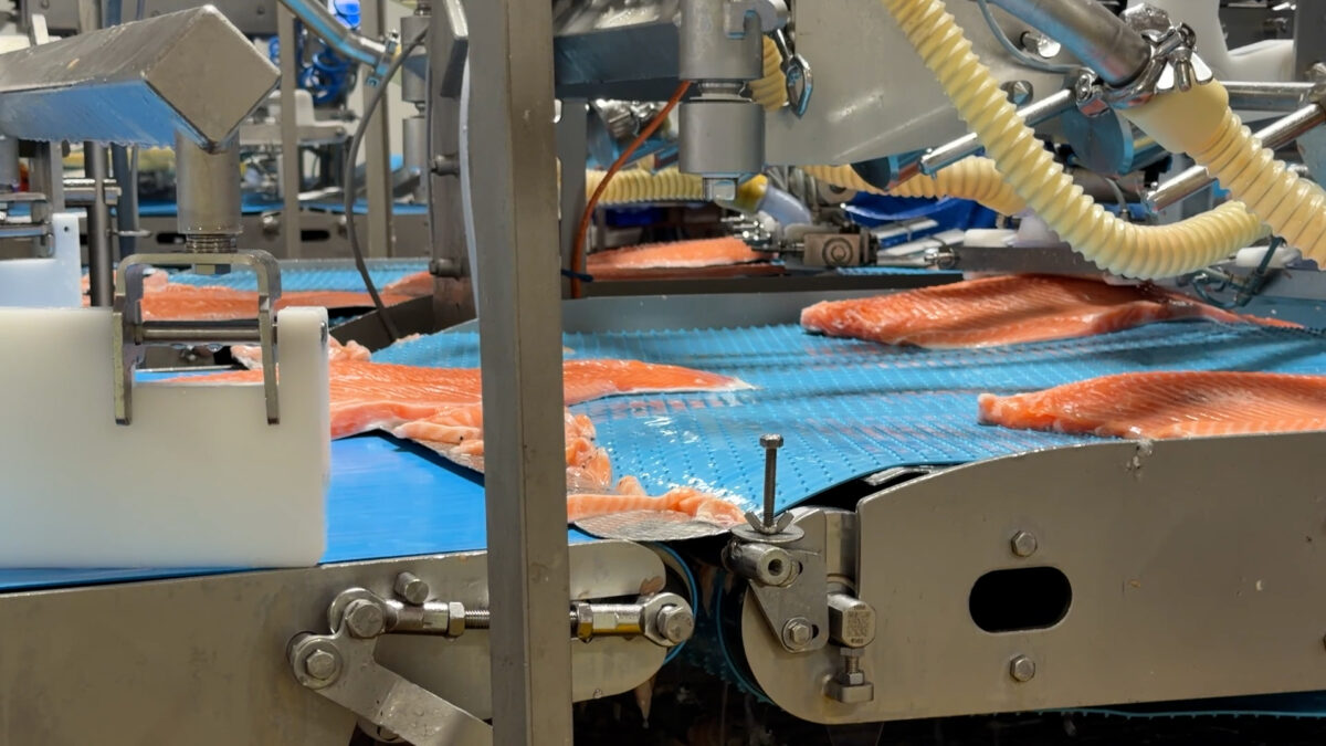 AQUACULTURE