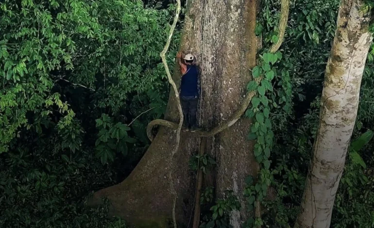 McKenna and Hemmings bring the Amazon to the Huntsman