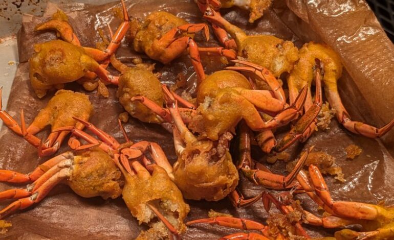 From invasive species to fine dining: Green crabs hit the menu